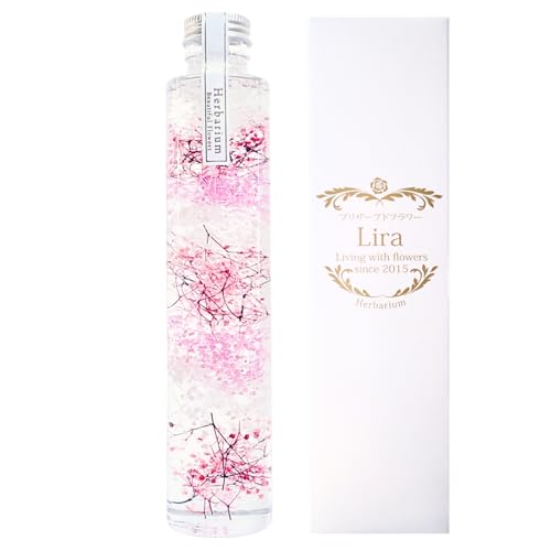 Ԍt yӂ̋Cz JX~ n[oE vU[uht[Lira 21.5p ~^ Mtg v[g 蕨 (L[g sN)