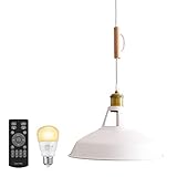 VENTOTA ペンダントライト 60w相当 リモコン式 LED電球付き E26 天井照明 リビング 吊り下げ照明 ダイニング 食卓用 レトロ インダストリアル ヴィンテージ コード調整可能 調光調色 LED Bene WH