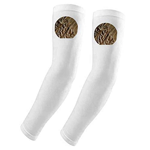 Housse de protection solaire motif de serpent pour stopper la décoloration