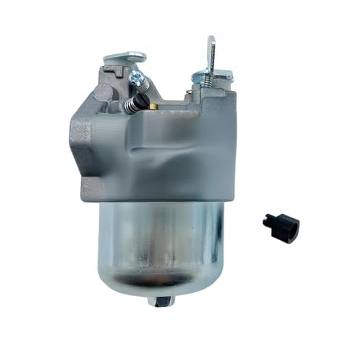 Carburateur anti calage moteur 497581 494894 solution démarrage