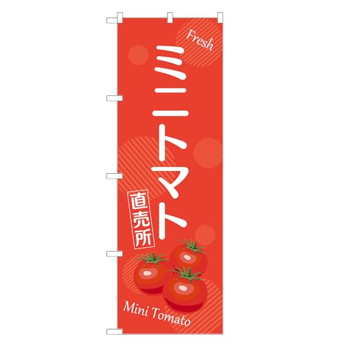 AbpII ̂ڂ ~jg}g  (A,M[,``) F24-0807B-R