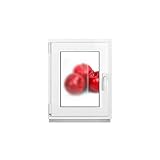 Framex