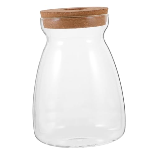 Levemolo Tarro De Cristal para Plantas, Estación De Propagación De Plantas, Tarro Hidropónico De Escritorio con Tapa De Corcho, Contenedor De Terrario para Micropaisaje para Plantas De