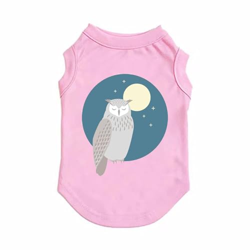 ZSDGBZ  M ėp ⊴ TVc ^  ʋC  ΍ p^Ngbv t Ă΍ 畆ی sN X|[cEFA JWA Lk  o U