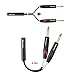 Cable Matters 2-Pack 1/4 TRS to Dual TS Stereo Audio Splitter Cable (Dual 1/4 Inch TS to TRS Female Adapter) in Black - 6 Inches / 0.15 Meters