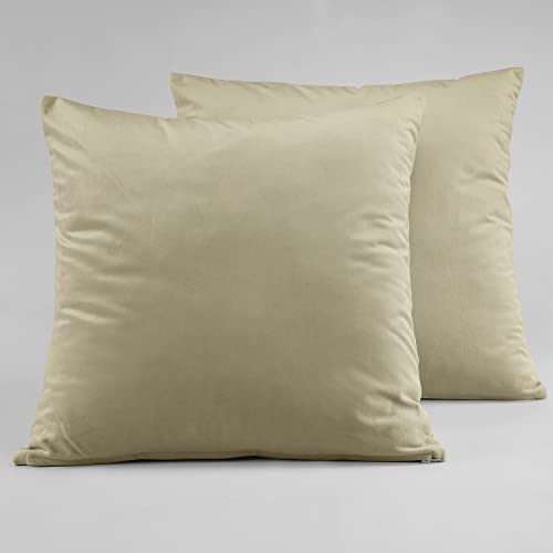 Image of HPD Half Price Drapes Cushion Cover 18 x 18 Heritage Plush Velvet - VPYC-198602-CC18PR - Pair, Macchiato Beige
