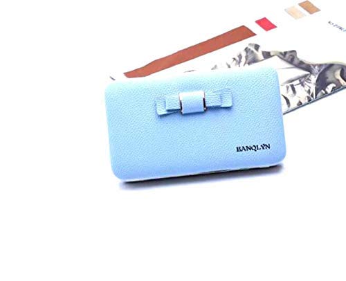 banqlyn wallet