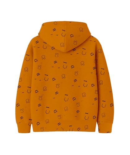 Image of Kids Hoodie Sweatshirt - Soft Cotton Hooded Winter Wear for Boys & Girls | Warm Stylish Pullover| Casual Kids Clothing for 2-16 Years - Comfortable Trendy Winter Hoodie for Children