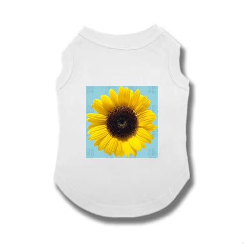 [XANPYO] ybg ^ ^ tH~  Ȑ ^XgCv sVc  hbOEFA xXg U 4XL tĕ JWA g h ȕ  ~  tVc