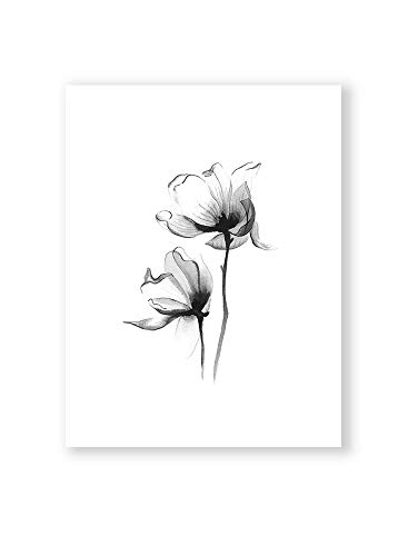 MILUKA Láminas para Enmarcar para Cuadro de Estilo Elegante | Póster de Flores Estilo Acuarela | Magnolia | Varios Tamaños … (Magnolia, 30 x 40 cm)