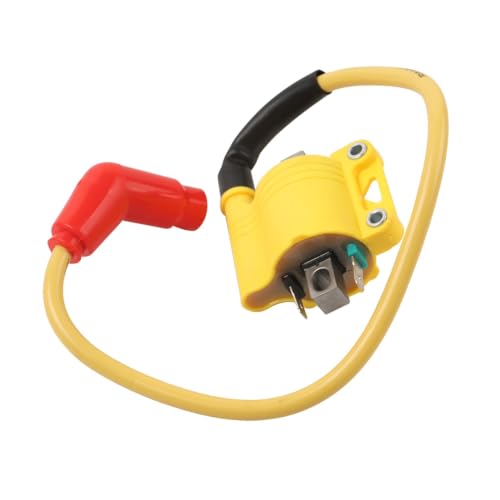 Kit allumage pour YBR 125 150 250 avec bobine d'injection EFI moto