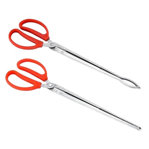 ASAKKURA 2 XeX|঒ދaO ~߃nht @\֕߂܂铹 ybgpyʃRpNgwrXeBbNOo[