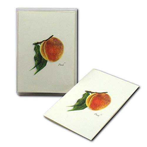 Image of Earth Sky + Water - Peach Notecard Set - 8 Blank Cards with Envelopes