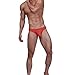 TADUANO Men's Underwear Bikini Briefs Low Rise Sexy Fashion with Pouch Solid Color Comfortable (S,Rust Red)