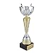 Sparkling Silver and Gold Trophy Cup – European Inspired Championship Award with Marble Base, Custom Engraved, Prestigious Recognition for Sports Leagues, Corporate Awards, Tournaments (13.5