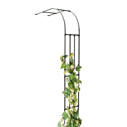Demi-arche de jardin en métal robuste pour plantes grimpantes et rosiers extérieurs