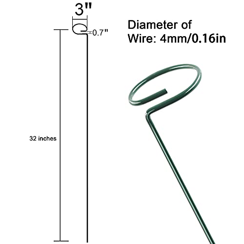 12 Pack 36 Inch Plant Support Stakes ,Single Stem Plant Support Stake Single Plant Stem Garden Flower Support Stake Steel Plant Cage Support Ring For Orchid Gladiolus Iris Dahlia Amaryllis Rose Lily #TOP3