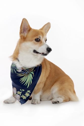 Image of Matchable Family Hawaiian Luau Men Women Girl Boy Clothes in Pineapple Garden Navy