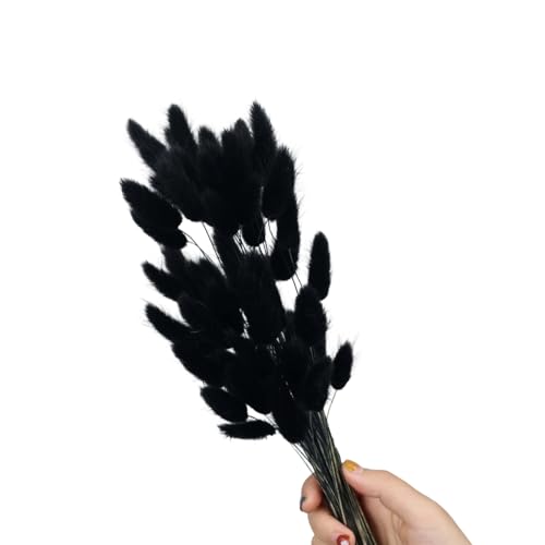 Flores Secas Natural Hare Tails 60 Piezas 60cm miniatura 1