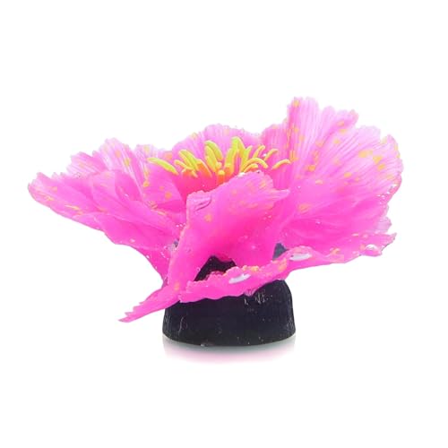 Patapalooza Fluoreszierende Wasserpflanzen: Hohe Helligkeit, Vielzahl von Farben, pflegeleicht, ideal für dekorative Aquarien und Wasserlandschaftsbau.