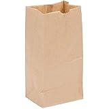Take Out Essentials Paper Bag (100 Ct) - Eco Friendly Lunch Bags - Small Paper Bags for Packing Lunch Sack Lunch Food Service Bags (2 lb, Brown)