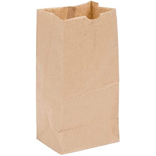 Take Out Essentials Paper Bag (100 Ct) - Eco Friendly Lunch Bags - Small Paper Bags for Packing Lunch Sack Lunch Food Service Bags (2 lb, Brown)