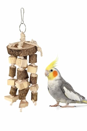 Image of KSK Natural Wood Bird Chewing & Foraging Hanging Accessory for Budgies, Cockatiels & Parrots | Wooden Cage Activity Block (10 Inch)