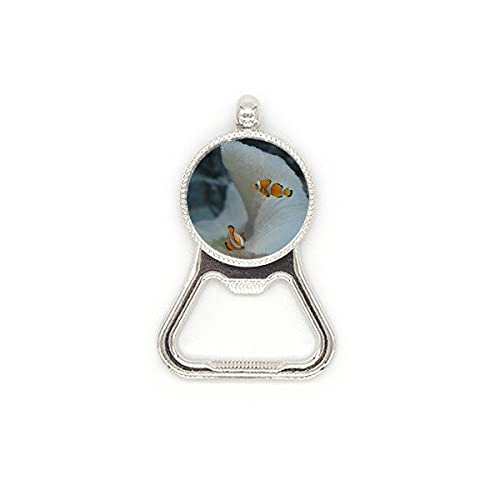 Décapsuleur poisson clown acier inoxydable, cadeau original - 2