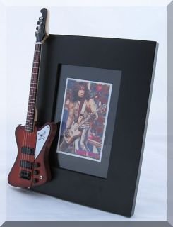 NIKKI SIXX ~j`AM^[̎ʐ^t[ Gibson Thunderbird