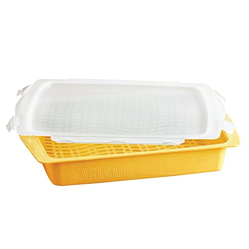 Mr. Bar-B-Q 40252Y Marinade Tray | Universal Locking Lid | Marinade Both Sides Without Opening | Unique Marinating Waves Disperse Flavor Evenly | Use A Dry Erase Marker To Label The Tray | 2 Piece Set #TOP5