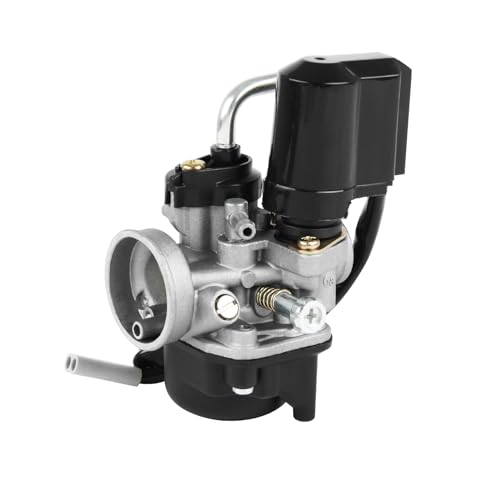 DOCAS 17.5mm Vergaser, Ersatzvergaser mit 17.5mm Durchlass mit E-Choke für Scooters de 50cc Piaggio Gilera(Stil 1)