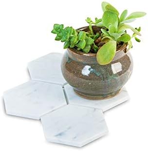 Marble Hexagon Coasters, Set of 4 White Carrara Coasters