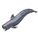 Safari Pilot Whale