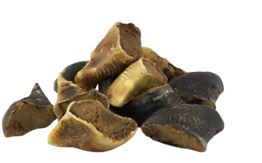 Natural Meat Filled Dog Hooves, 20-Pack, Pet Chew Treats by Two Amigos Pet Supplies