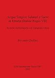  Acque Sorgive Salutari e Sacre in Etruria (Italiae Regio VII): Ricerche Archeologiche e di Tipografia Antica (British Archaeological Reports, Band 1067)
