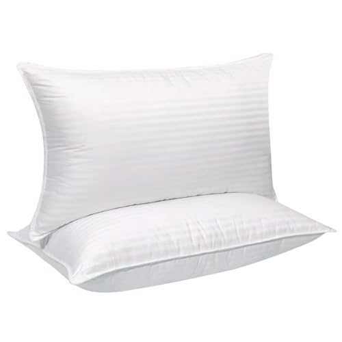 Set 2 Almohadas Microfibra Tamaño Estándar