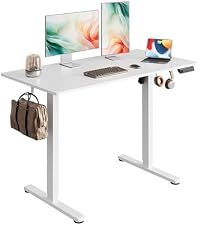 Amazon.com: DEVAISE 48 Inch Electric Standing Desk, 3 Adjustable