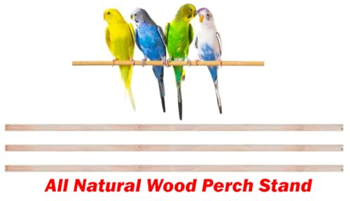 63" Roof Top Bird Flight Parrot Pet House Home Cage with Removable Rolling Stand for Cockatiel Sun Conure Parakeet Finch Budgie Lovebird Canary - Image 5