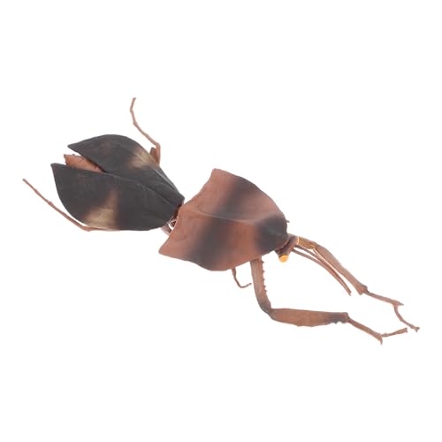 minkissy ͂tJ}L̑ AȍtBMA pȊw͌^ wK rȎp