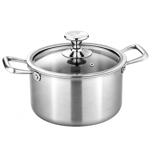 Titanium Soup Pot 6 Quart with Lid, Tri-Ply Induction Stock Pot