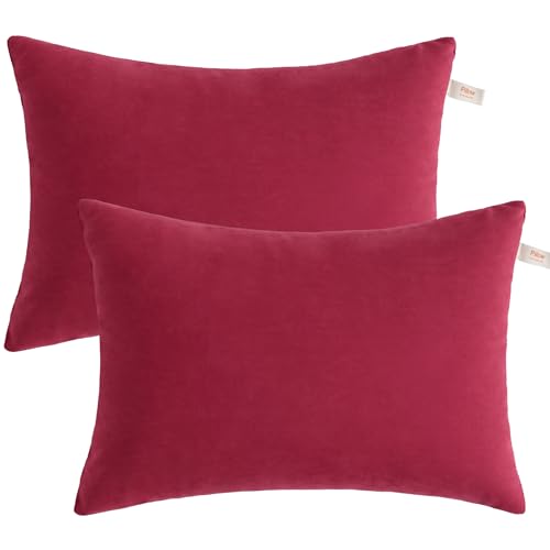 BEDSUM Toddler Pillows, 13x18 Ultra Soft Microfiber Travel Pillow - Small Pillow for Kids Daycare, Flight, Travel and Daily Use - Machine Washable Pillow Inserts, 2 Pack, Red