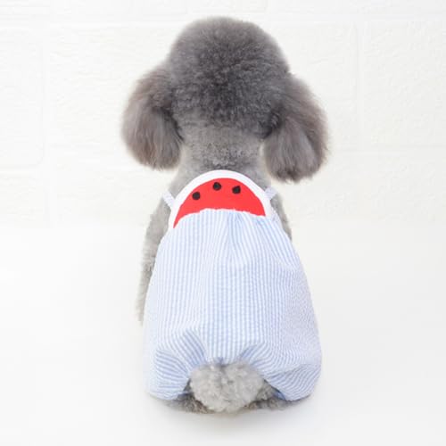 Disfraz de perro S Beaupretty Watermelon Blue miniatura 4