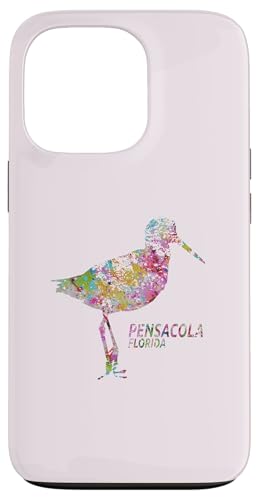 Pensacola Florida - Pensacola FL Shorebird Carcasa para iPhone 13 Pro