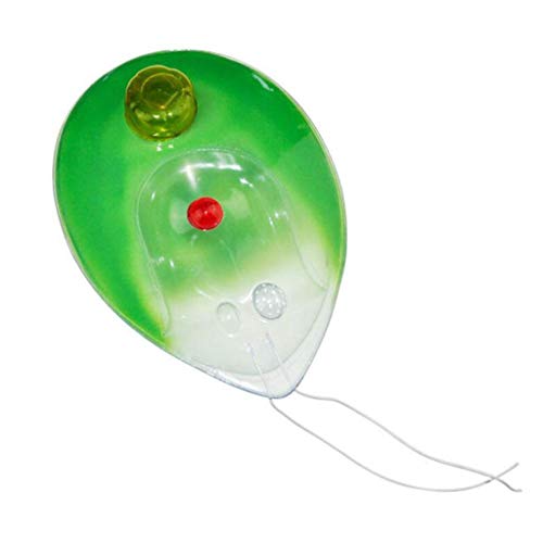 Chlamydomonas-Modell, Modell der pflanzenanatomischen Anatomie - Junior High School Biologie Wissenschaft und Bildungsinstrument Medizinische Forschung Lehre Demonstration Demonstration Training Tool Cover