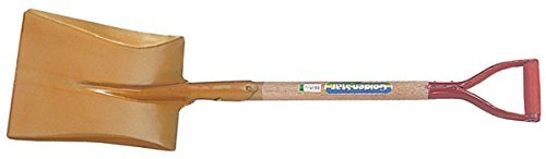 �L���{�V(Kinboshi) �p�^�V���x�� 4029