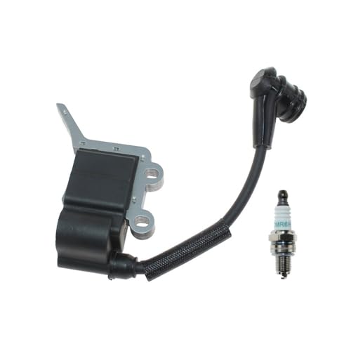 Bobine d'allumage haute tension stable pour souffleur 530BT 511393701