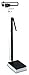 Detecto 349 Weigh Beam Eye-Level Physician Scale with Height Rod, Wheels, Handpost, 400 lb x 4 oz / 175 kg x 100 g Cap