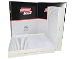 Baldwin PA4474 Cabin Air Filter (2-Pack)  Replaces Motorcraft FP-70 | OEM-Quality Panel Elements