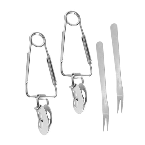 SMASOLO 2 Set Clip in Acciaio Inossidabile Pinze Per Alimenti Tong Piccolo Pinza Servire Forchetta Pinze Per Bustine Di Tè Forchetta Per Spaghetti Pinze Da Zucchero Argento