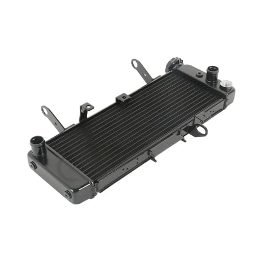 SV650 SV 650 2003-2004 03 04pI[goCpA~WG[^[N[[